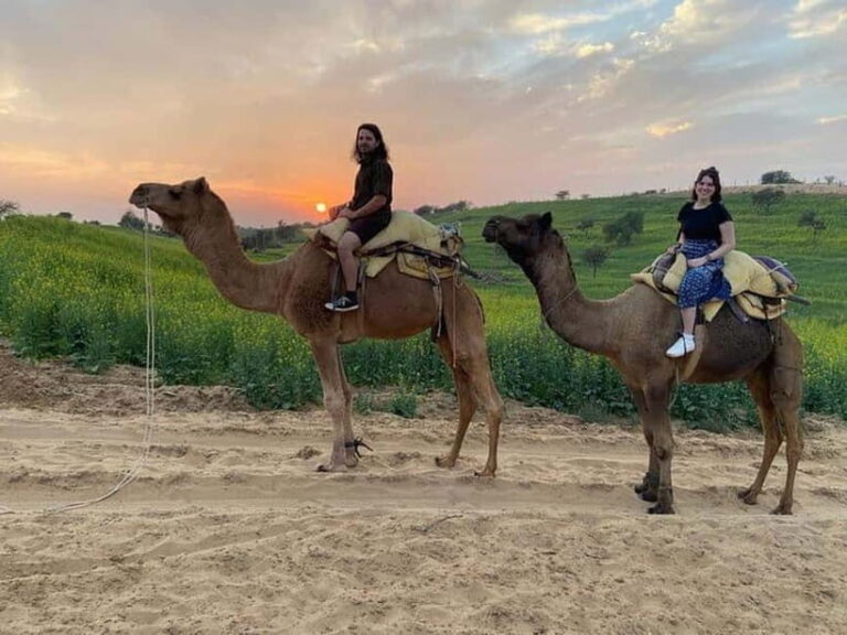Desert Camel Safari Day Trip From Jodhpur - The Value of This Tour