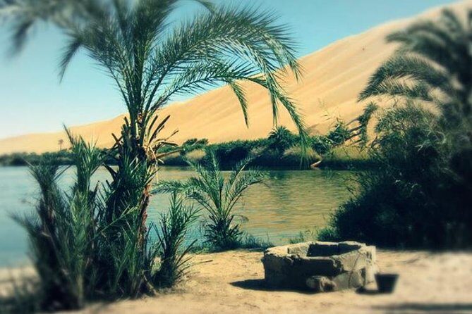 Desert Camping With The Bedouins Under The Stars - White & Black Deserts - What Sets This Tour Apart