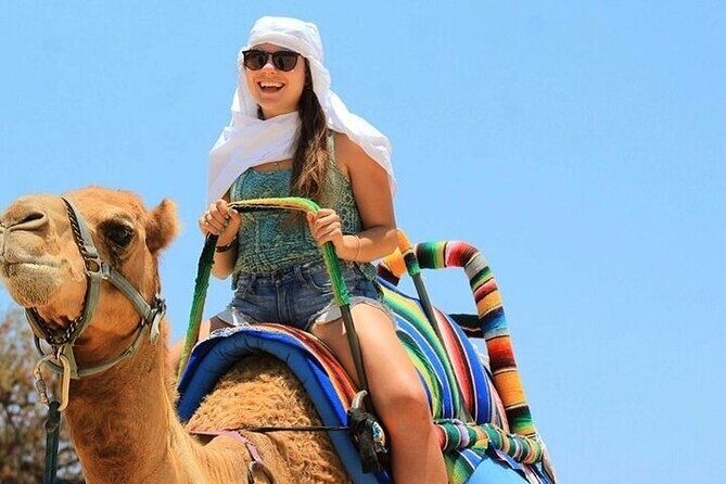 Desert Journey, Experience Camel Ride in desert - Sharm El Sheikh - The Itinerary: What to Expect During Your Desert Journey