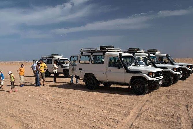 Desert Quad Bike Safari To Bedouin Village with Camel Ride&Dinner From Hurghada - An In-Depth Look at the Tour Experience