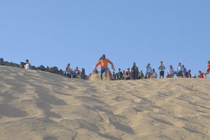 Desert Quad, Jeep, Camel and Buggy Safari with BBQ Dinner - Final Thoughts: Is It Worth It?