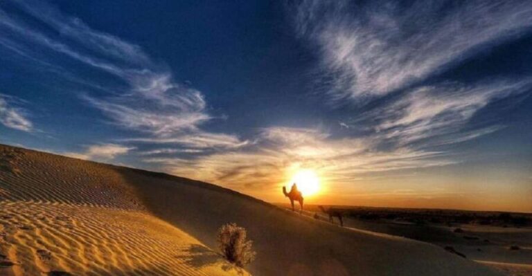 Desert Rose Jaisalmer: Overnight Stay Middle of Thar Desert - Exploring the Itinerary: A Step-by-Step Breakdown