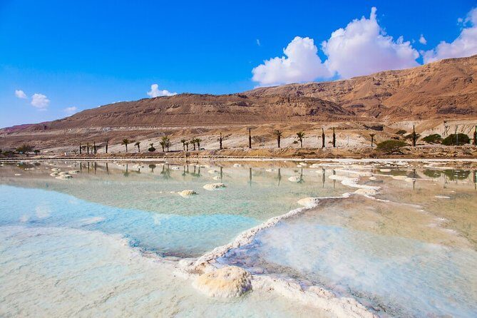 Desert Safari and Dead Sea Day Trip from Tel Aviv - The Itinerary: What You’ll See and Do