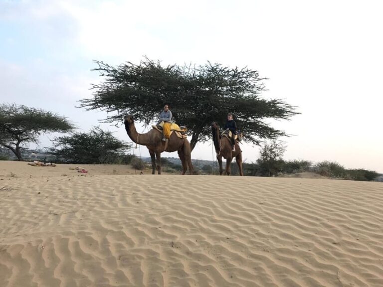 Desert Safari In Jodhpur - An In-Depth Look at the Desert Safari Experience