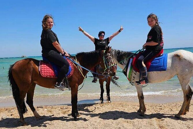 Desert & Sea Adventure  3-Hour Horse or Camel Riding Experience - What to Expect on the Day
