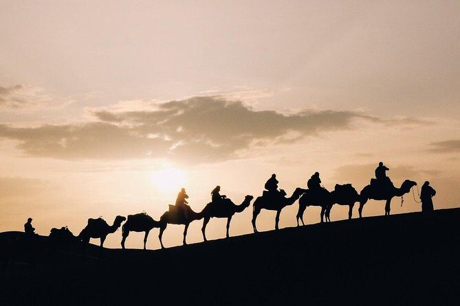 Desert Sunset Camel Ride With Free Tea in The Desert Camp - Analyzing the Value