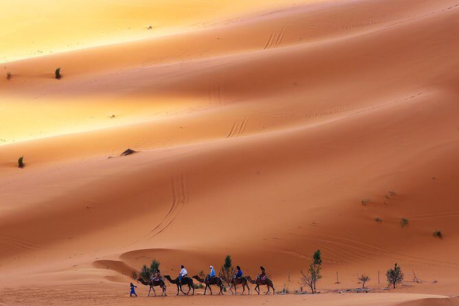 Desert Tour Marrakech Merzouga 3 days / 2 nights - What Travelers Say: Authentic Perspectives