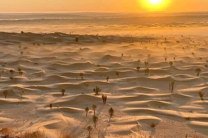 Desert tours and adventurous camel trekking through the Sahara - Who is This Tour Best For?