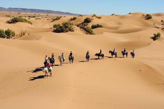 Desert Trail in Morocco on Horseback - Who Should Consider This Experience?