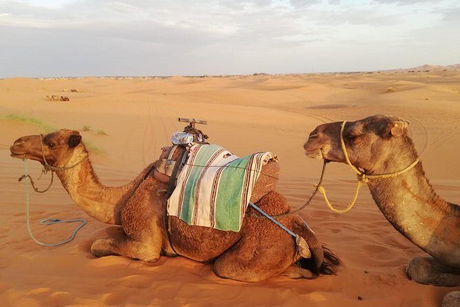 Desert Trip from Fes to Fes via Merzougua (2days,1night) - Transportation and Group Dynamics