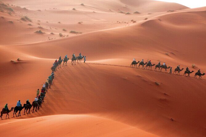 Desert Trip:Fès-Merzouga(1 Night)-Ouarzazat(1 Night)-Marrakech - Who Is This Tour Best For?