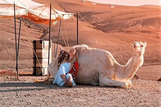 Desret Agafay and Atlas Mountains & Camel ride Day Trip From Marrakech - What the Tour Includes and What to Expect