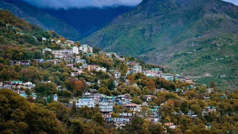 Dharamsala Half Day Sightseeing Tour - What You Can Expect During the Tour
