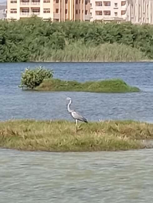 Dhofar: Salalah City and East Salalah Private Tour - Practicalities and What They Mean for You
