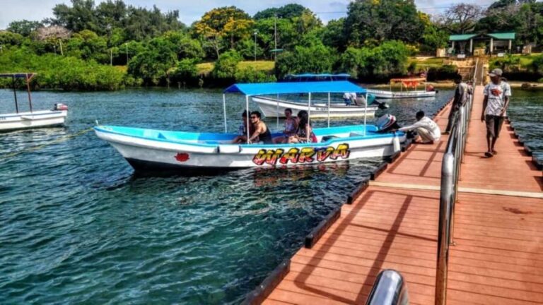 Diani: Kisite Private Boat Tour with Snorkeling and Lunch - Value and Practicalities