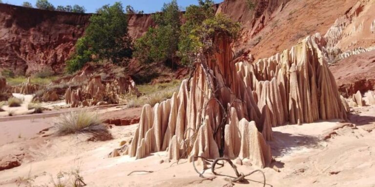 Diego Suarez (Antsiranana): Red Tsingy Half-Day Tour - What You Can Expect During the Visit