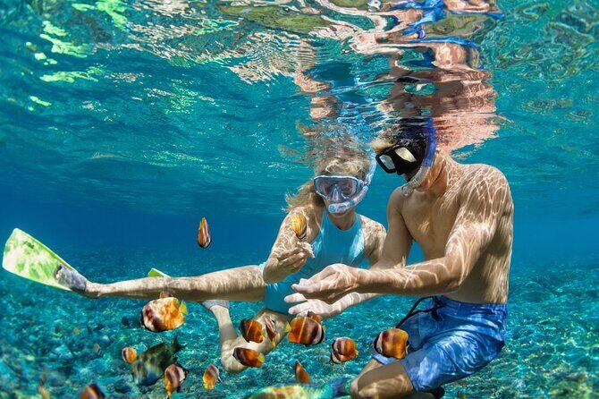 Dimaniyat Island Tour with Snorkeling - The Itinerary: What to Expect During Your Day