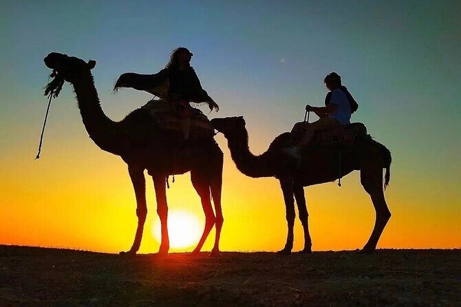 Dinner Under the Stars Desert Agafay & Sunset Camel Ride - Authenticity and Cultural Appreciation
