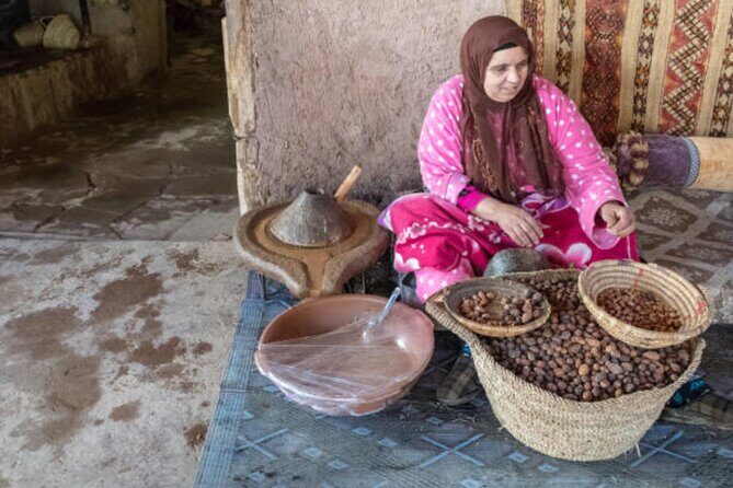 Discover Atlas, Ourika Valley Day Trip from Marrakech - Who Will Love This Tour?