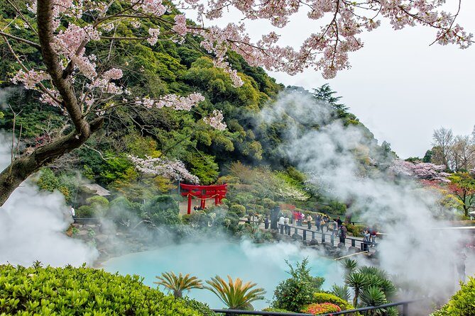 Discover Beppu: Markets, Art, and Scenic Views - A Deep Dive into the Itinerary
