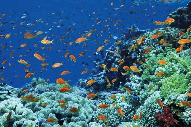 Discover Cairo & Luxor & Hurghada 9 Days-5 Stars Hotels & Flights Included - Why This Tour Offers Great Value