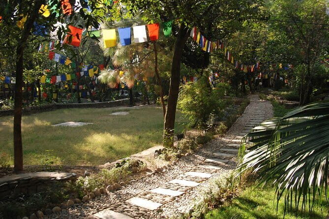 Discover Dharamshala's monasteries for Tibetan spirituality - What the Reviews Say