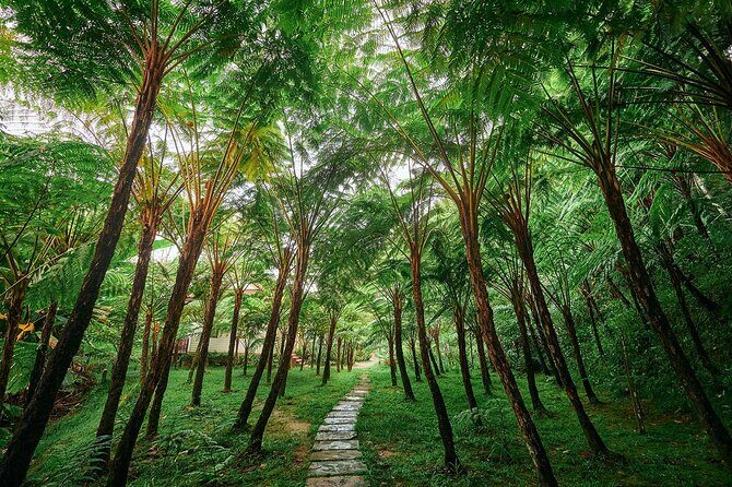 Discover Full Day Tour Doi Inthanon National Park from Chiang Mai - The Sum Up: Who Will Love This Tour?