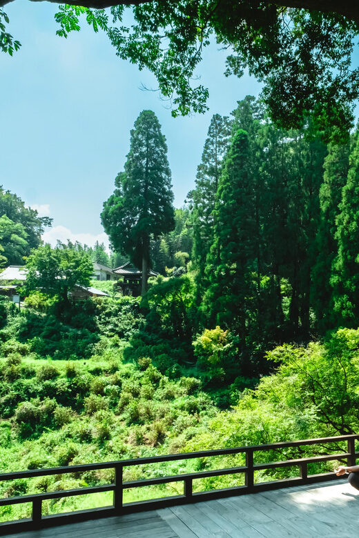 Discover Inner Peace at Fukoji Temple: Meditation Experience - An In-Depth Look at the Fukoji Meditation Tour