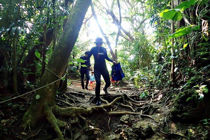 Discover Ishigaki's Hidden Treasures Snorkeling Tour at BlueCave - Authentic Feedback from Past Travelers
