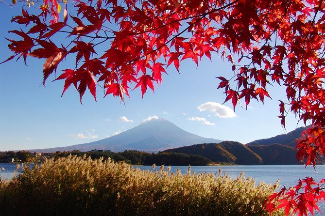 Discover Mt. Fuji 5th Station & Kawaguchiko Sightseeing Day Tour - Value and Experience: What Travelers Are Saying