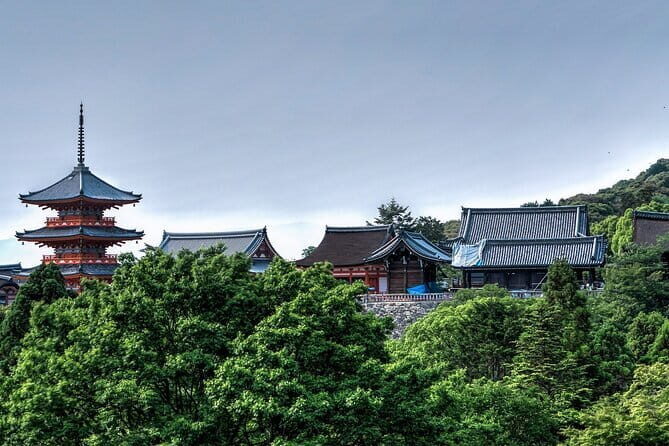 Discover Nara Park, Kyoto Highlights and Fushimi Inari from Osaka - An In-Depth Look at the Itinerary