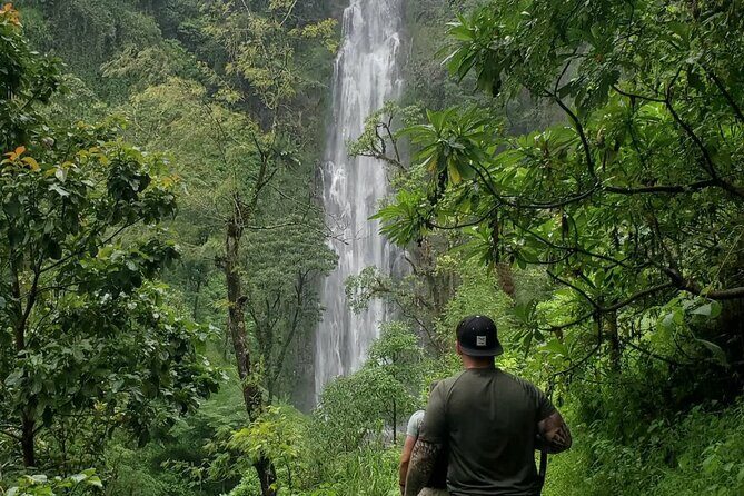 Discover Nature and Culture of Materuni Waterfall & Coffee Tour - The Practicalities