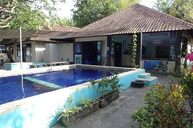 Discover Scuba Diving and dive in Menjangan Island Marine Park 2 dives - The Itinerary: What You Can Expect