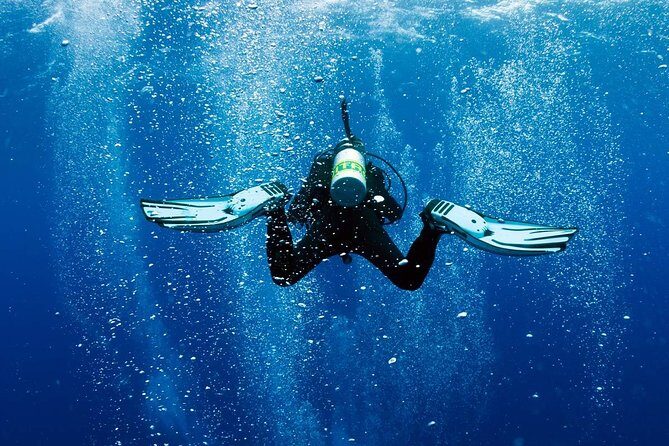 Discover Scuba Diving Experience - Authentic Reviews and Real Experiences