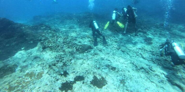 Discover Scuba Diving : Hikkaduwa : Scuba Diving - Authentic Insights from Reviewers