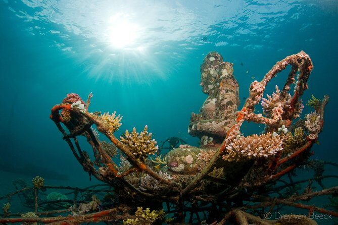 Discover Scuba Diving in Pemuteran at the Biorock site,1 shore dive all included - Who Is This Tour Best For?
