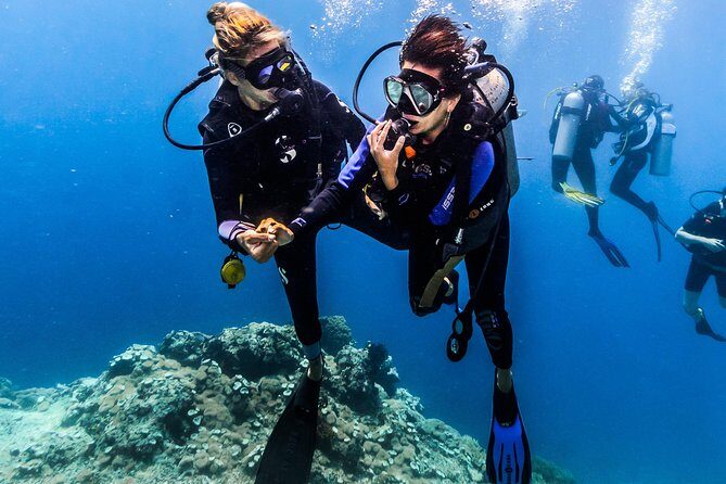 Discover Scuba Diving in Tulamben - Diving Initiation in Bali best diving sites - Analyzing the Value