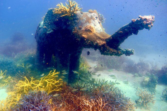 Discover Scuba Diving, try dive for beginners ( Start at Ko Kut) - The Sum Up