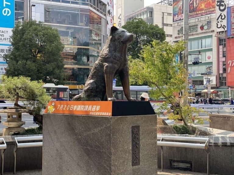 Discover Shibuya Culture and Street Life with a Local Guide - The Value of the Tour