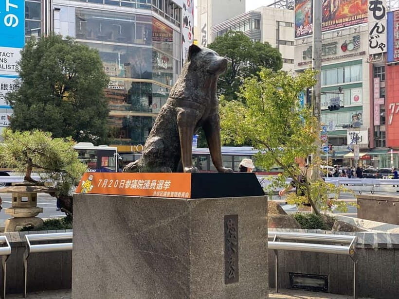 Discover Shibuya Culture and Street Life with a Local Guide - The Value of the Tour