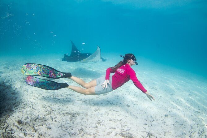Discover South Ari Atoll - Full Day Tour from Male city - Who Should Consider This Tour?