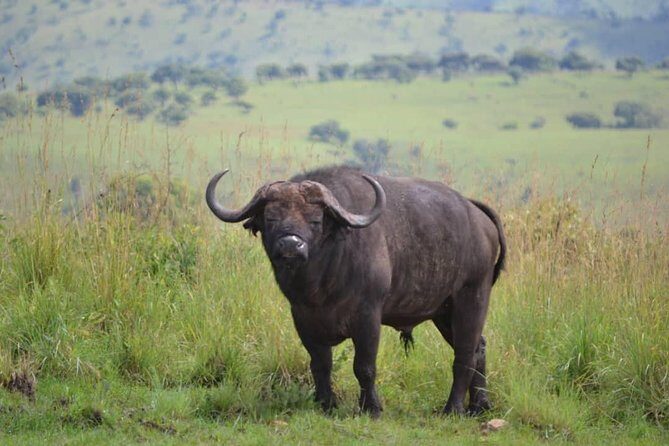 Discover the Beauty of Rwanda in 12Days - What to Expect from the 12-Day Rwanda Tour