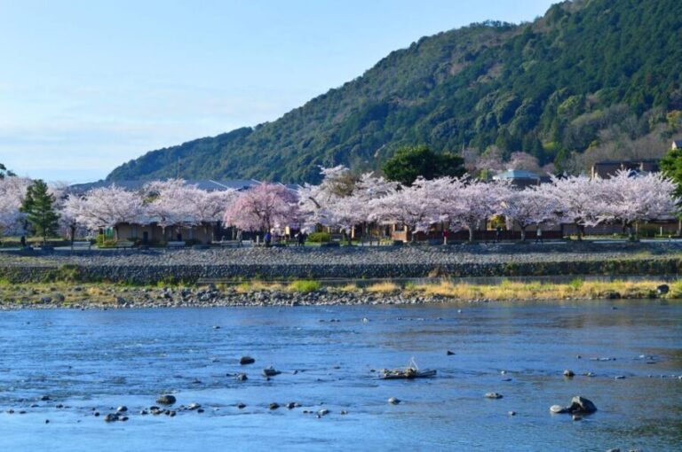 Discover the Highlights in Kyoto & Nara in 3 DAYS ! - What Makes This Tour Stand Out?