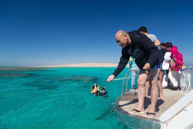 Discover the Magic in Snorkeling Expedition to Dolphin House - FAQ