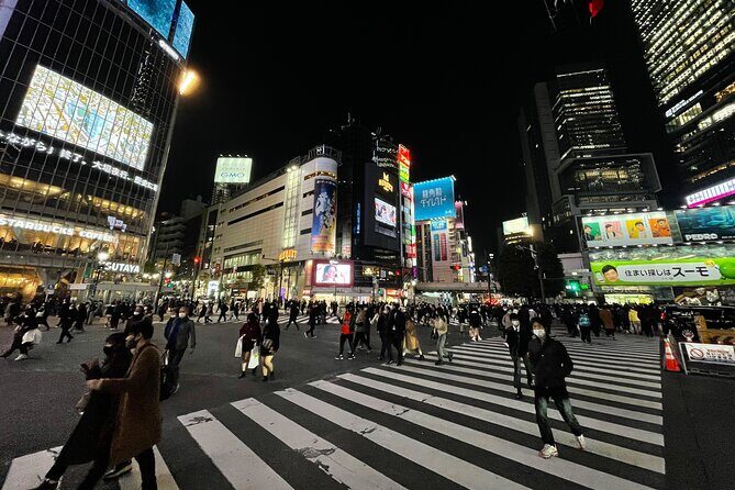 Discover Tokyo: 3-Hour Private Guided Photo Walking Tour - A Detailed Look at the Experience
