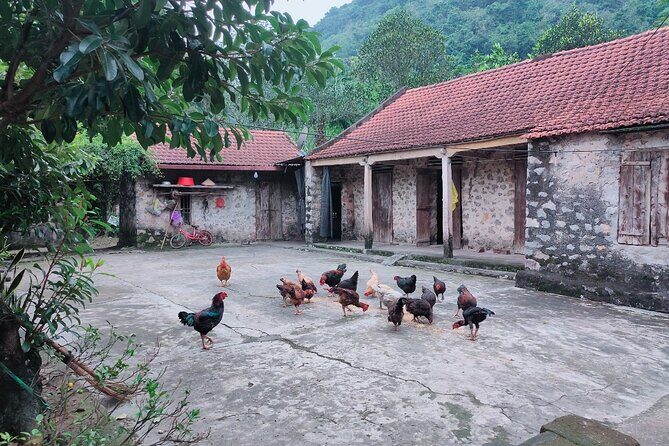 Discover Trang An Natural World Heritage, Bich Dong Pagoda, Cycling Day Tour - Who Will Love This Tour?