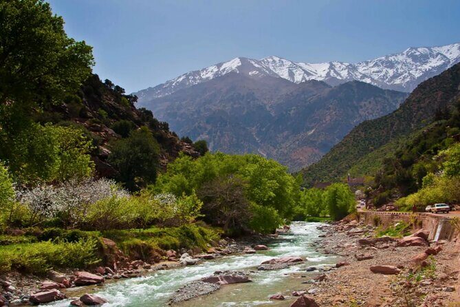 Discovering Ourika Valley and Atlas Mountains with a Local Guide - Who Would Love This Tour?