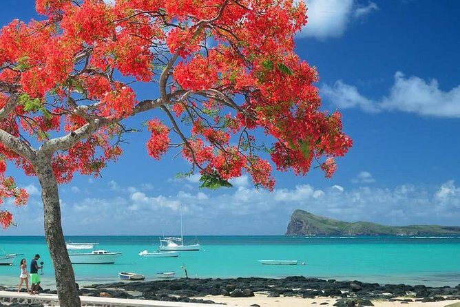 Discovering the North of Mauritius: Full-day incl Botanical garden & lunch - In-Depth Breakdown of the Itinerary