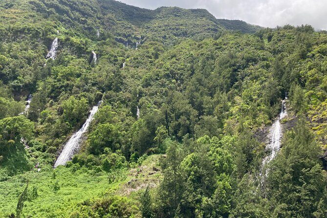 Discovery Day of Reunion Island: sublime beach, sumptuous landscape - Authentic Experiences and Traveler Insights