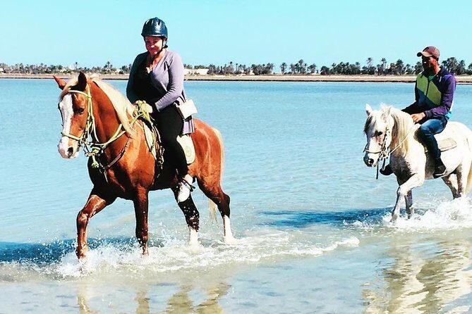 Discovery ride on horseback or camel 2h30 - The Ride Through Djerba’s Countryside